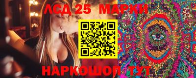 дмт Будённовск