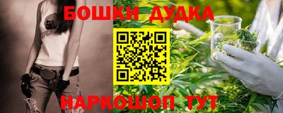 дмт Будённовск
