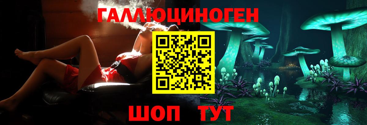 Псилоцибиновые грибы Psilocybine cubensis  наркота  Новый Уренгой  Вход с VPN 